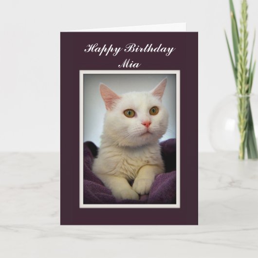 Mia Happy Birthday White Cat Kaart (Voorkant)