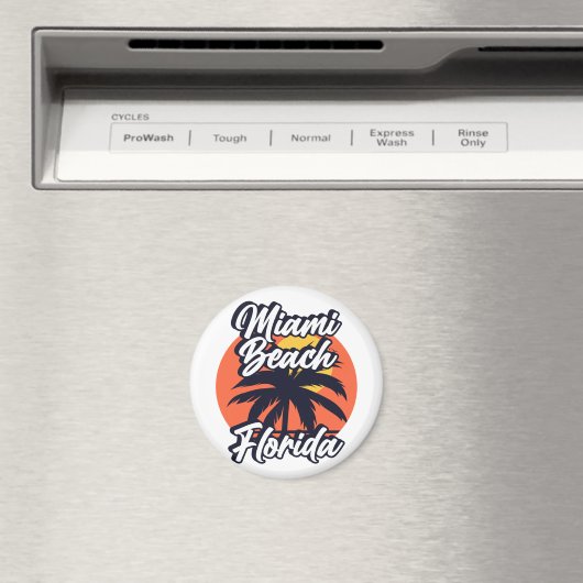 Miami Beach, Florida Magneet (Insitu (Vaatwasser))