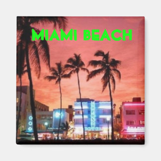 Miami Beach, Florida Magneet