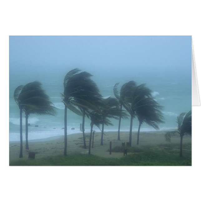 Miami Beach, Florida, orkaanwinden striemen (Voorkant Horizontaal)