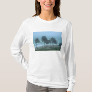 Miami Beach, Florida, orkaanwinden striemen T-shirt