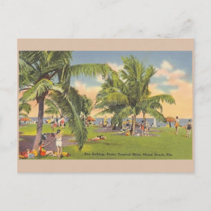  Miami Beach Florida Sunbathing Post Card Briefkaart