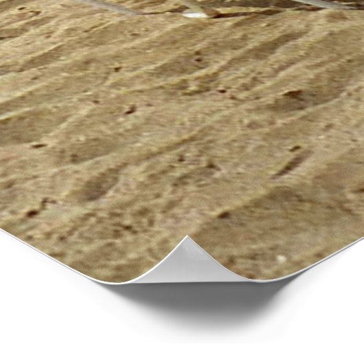 Miami Beach, Florida Tranquil Uitzicht Poster (Hoek)