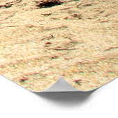 Miami Beach Poster (Hoek)