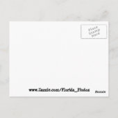 Miami Briefkaart (Achterkant)