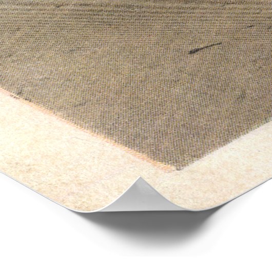  Miami en Coral Gables Florida Travel Poster (Hoek)