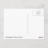 Miami FL Briefkaart (Achterkant)