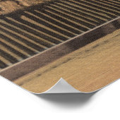 Miami, FL - Greyhound Dog Race bij Kennel Club Poster (Hoek)