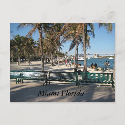 Miami Florida Briefkaart (Voorkant)