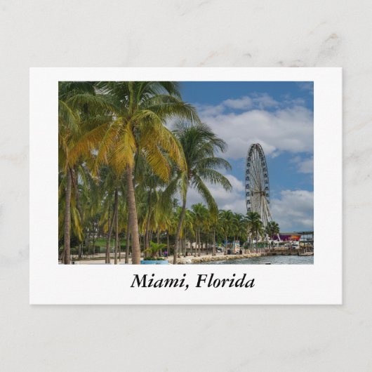 Miami Florida en Biscayne Bay Briefkaart (Voorkant)