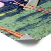 Miami Florida Flamingos in Hialeah Park Poster (Hoek)