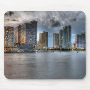 Miami, Florida Muismat