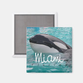 Miami Florida Orca Whale Foto Koelkast Magnet (Voorkant / Achterkant)