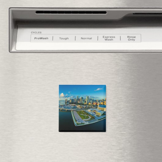 Miami, Florida, panoramisch uitzicht, Magneet (Insitu (Vaatwasser))