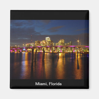 Miami Florida Skyline bij Night Magnet