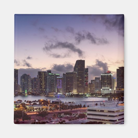Miami, Florida skyline, Magneet (Voorkant)