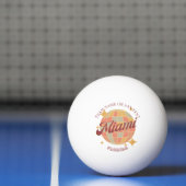 Miami Florida Stad tafeltennis Pingpongbal (Net)