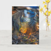 Miami Iguana Wenskaart Kaart (Gele Bloem)