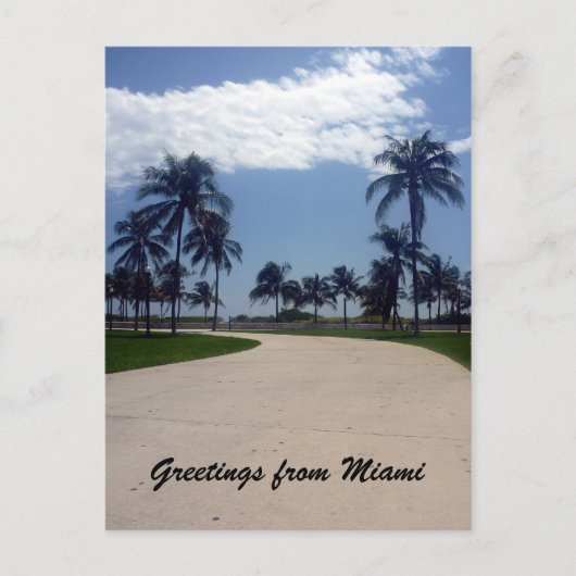 miami palmpad briefkaart (Voorkant)