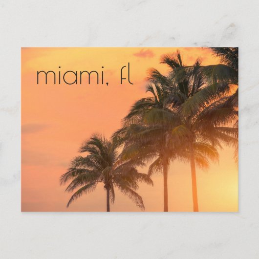 Miami Palms Briefkaart (Voorkant)