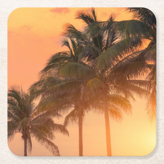 Miami Palms Kartonnen Onderzetters (Voorkant)