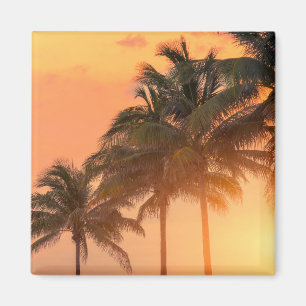 Miami Palms Magneet