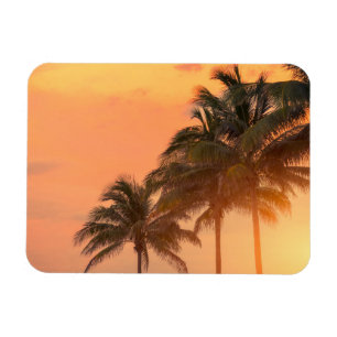 Miami Palms Magneet