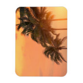 Miami Palms Magneet (Verticaal)