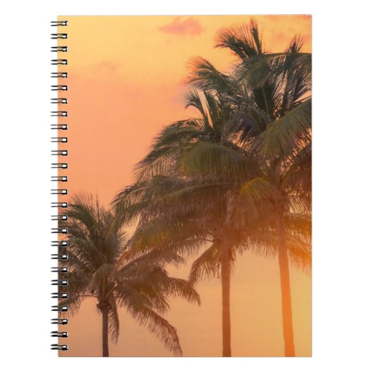 Miami Palms Notitieboek (Voorkant)