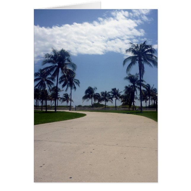 miami pathway (Voorkant)