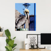 Miami Pelican Poster (Thuiskantoor)