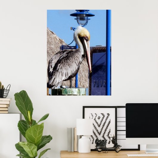 Miami Pelican Poster (Thuiskantoor)