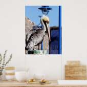 Miami Pelican Poster (Keuken)