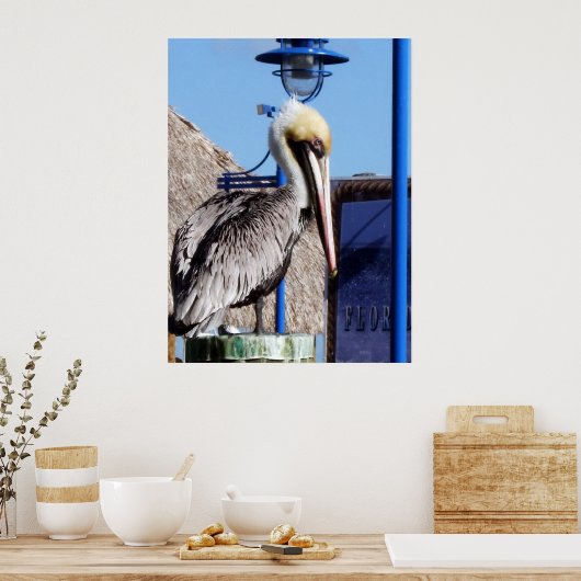 Miami Pelican Poster (Keuken)