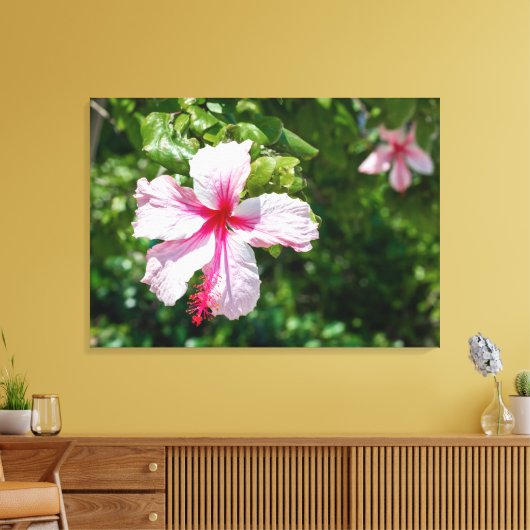 Miami Pink Hibiscus Tropical Flower Bloom Canvas Afdruk (Insitu (Woonkamer))