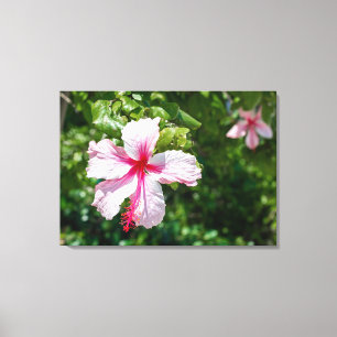 Miami Pink Hibiscus Tropical Flower Bloom Canvas Afdruk