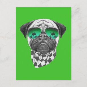 Miami Pug Briefkaart