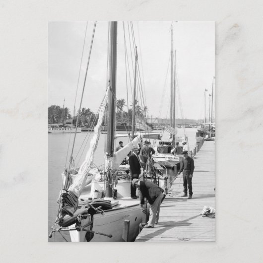 Miami Sailships, 1905 Briefkaart (Voorkant)