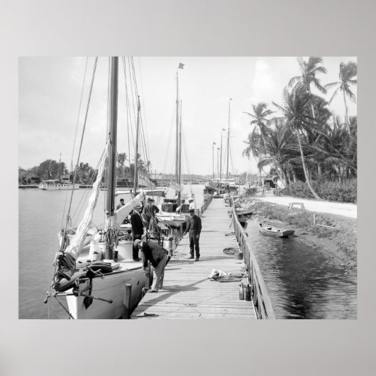 Miami Sailships, 1905 Poster (Voorkant)