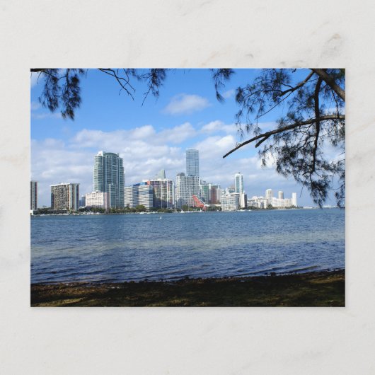 Miami Skyline Briefkaart (Voorkant)