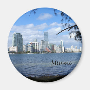 Miami Skyline Magneet