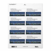 Miami Skyline Panorama Etiket (Full Sheet)