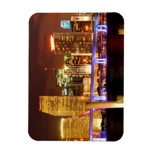 Miami skyline 's nachts, Florida Magneet (Verticaal)