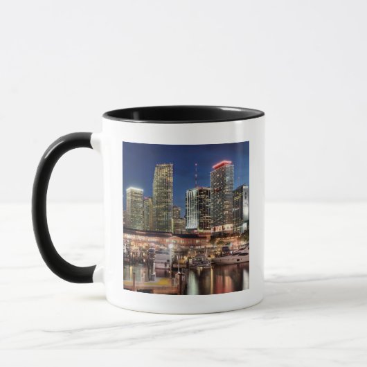 Miami skyline stad in Florida Mok (Links)
