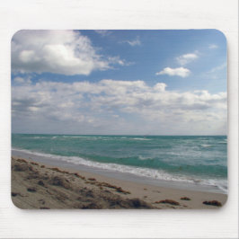Miami strand muismat
