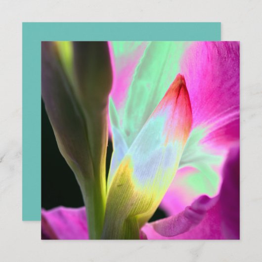 Miami Style Floral Blank Card (Voorkant / Achterkant)