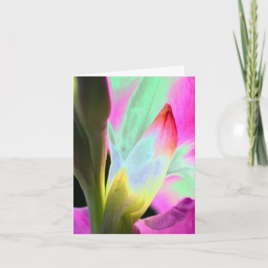 Miami Style Floral Blank Folded Note Kaart (Voorkant)