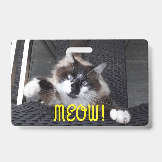 Miauw! Badge (Voorzijde)