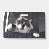 Miauw! Badge (Achterkant)