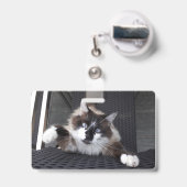 Miauw! Badge (Achterkant met uittrekbare clip)